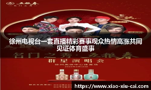 徐州电视台一套直播精彩赛事观众热情高涨共同见证体育盛事