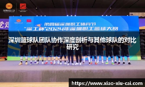 深圳篮球队团队协作深度剖析与其他球队的对比研究