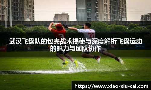 武汉飞盘队的包夹战术揭秘与深度解析飞盘运动的魅力与团队协作