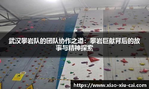 武汉攀岩队的团队协作之道：攀岩巨献背后的故事与精神探索