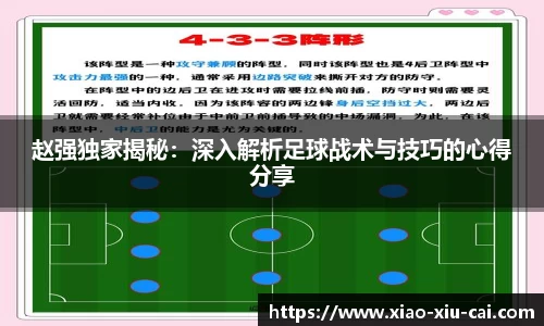 赵强独家揭秘：深入解析足球战术与技巧的心得分享