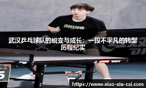 武汉乒乓球队的蜕变与成长：一段不平凡的转型历程纪实
