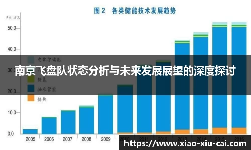 南京飞盘队状态分析与未来发展展望的深度探讨