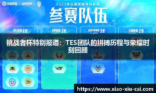 挑战者杯特别报道：TES团队的拼搏历程与荣耀时刻回顾