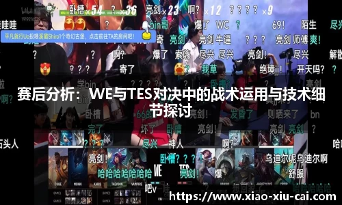 赛后分析：WE与TES对决中的战术运用与技术细节探讨