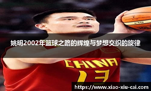 姚明2002年篮球之路的辉煌与梦想交织的旋律