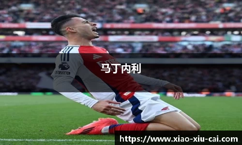 马丁内利