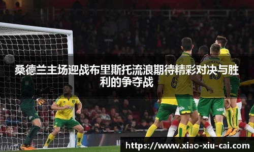 桑德兰主场迎战布里斯托流浪期待精彩对决与胜利的争夺战
