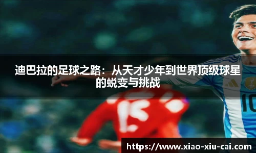 bsports官网