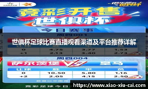 世俱杯足球比赛直播观看渠道及平台推荐详解